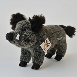 P[Z Koesen ʂ IX̂ij