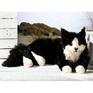 P[Z Koesen ʂ ˂ׂL()CN[ 