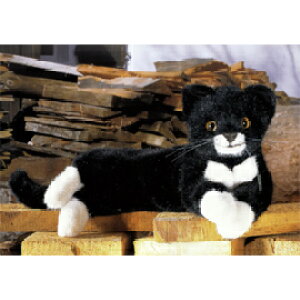 P[Z Koesen ʂ ˂ׂLij 