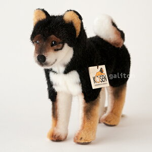 P[Z Koesen ʂ Č iāj