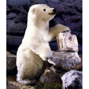 P[Z Koesen ʂ 500 N} ǂ񂱃V[f Schmuddel