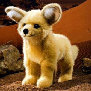 �P�[�Z�� Koesen �ʂ������ �t�F�l�b�N�M�c�l ���� DESERT FOX, STANDING