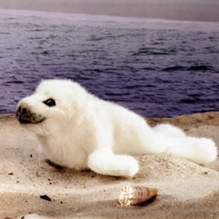 楽天市場 ケーセン Koesen ワモンアザラシの赤ちゃん Ringed Seal Baby 木のおもちゃがりとん