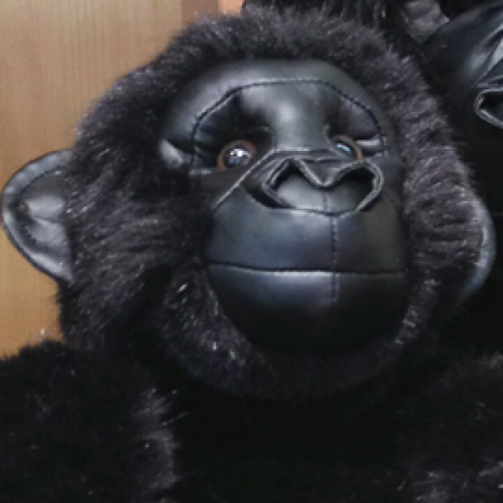 楽天市場】ケーセン Koesen ぬいぐるみ ゴリラの子 GORILLA, BABY : 木 