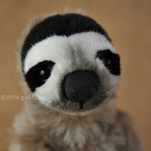 P[Z Koesen ʂ i}PmijwA Ȃ܂