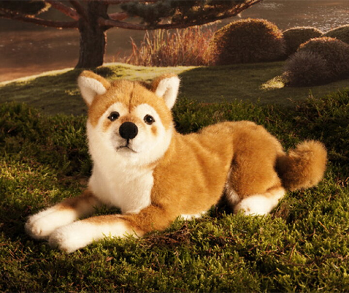 楽天市場】ケーセン Koesen ぬいぐるみ 柴犬 伏せ ソフト SHIBA-INU 