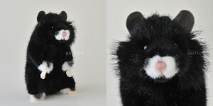 P[Z Koesen ʂ [bpnX^[  Feldhamster, Schwarz