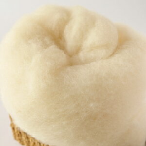 ヴォル マヌファクトゥア フィルゲス Woll-Manufaktur Filges 羊毛ナチュラル テクセル