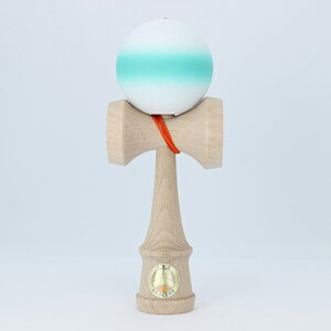 R`H[   }bg Matte ^[RCYC