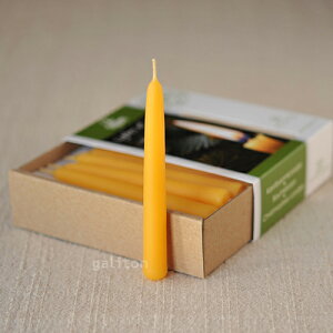 yxmas̔z fBp Dipam XNX}Xc[Lh i`20{