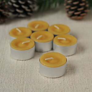 yxmas̔z fBp Dipam XeB[CgLh7