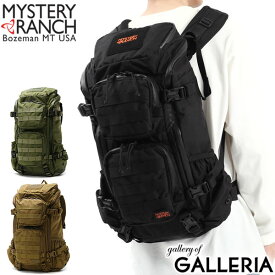 【最大47倍 5/25限定】 ノベルティ付 【日本正規品】 ミステリーランチ リュック MYSTERY RANCH BLITZ 30 ブリッツ 30 バックパック リュックサック A4 A3 PC 15.6インチ 29L 旅行 トラベル 登山 カジュアル メンズ レディース