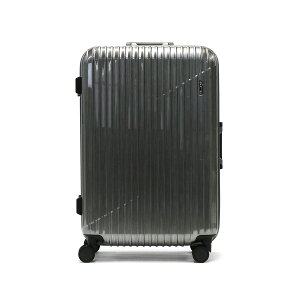 yN[|15%OFFzyő49{ 11/10z mxeBt G[X X[cP[X ACE NX^2F L[P[X MTCY y ace 58L 5 6 o 4 TSbN t[^Cv s o Y f