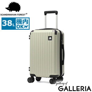 yő41{ 11/30zyKi1Nۏ؁z XJWirAtHXg X[cP[X @ y 킢 Xgbp[t S SCANDINAVIAN FOREST hNz_[ s TSbN 38L 