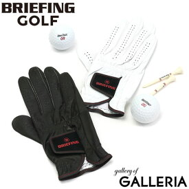 【エントリー&楽天カード最大12倍】【日本正規品】 ブリーフィング ゴルフ グローブ 右手用 BRIEFING GOLF MENS PREMIUM LEATHER GLOVE-R レザーグローブ 右 片手 手袋 革 メンズ BRG201A17