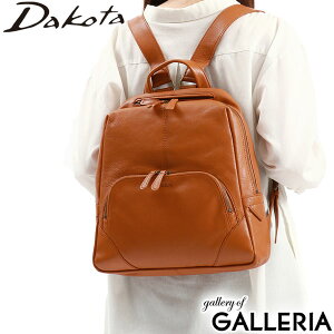 _R^v+IׂmxeB _R^ bN fB[X  Dakota obO bNTbN  y y XNGA ʋ ꂢ U[ v {v uh 40 50 l J