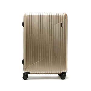 y3Ԍ ő38{z mxeBt G[X X[cP[X ACE NX^2 L[P[X y ace 85L 8 9 wAC LX^[Xgbp[ 4 o TSAbN LTCY e t@Xi[ 