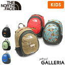【最大40倍 11/10限定】【セール10%OFF】【日本正規品】 ザ・ノース・フェイス リュック キッズ 男の子 女の子 ブランド THE NORTH FACE バッグ バッグパック 8L A5 3歳 4歳 小さい 小さめ キッズリュック 子供リュック ホームスライス NMJ72361