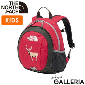 【最大59倍 9/10限定】【セール10％OFF】【日本正規品】 ザ・ノース・フェイス リュック キッズ 子供 子ども THE NORTH FACE キッズリュック 男の子 女の子 小さめ ブランド ミニリュック 軽量 軽い 通園 ノースフェイス ホームスライス NMJ72361