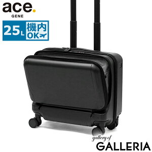 yő42{ 9/25z mxeBt yKi10Nۏ؁z G[XW[ X[cP[X SS S STCY @ ace.GENE L[P[X y y Xgbp[ Xgbp[t 25L   