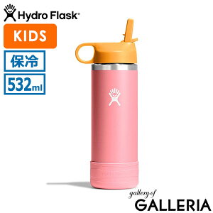 yő40{ 1710zyKiUۏ؁z nChtXN  LbY q Hydro Flask Xg[ 18oz ^u[ ۗ ^fM\ XeX {g  킢 j̎q ̎q 532m