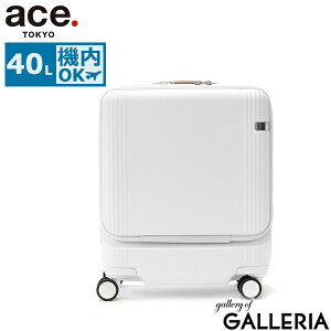 yy ő41{z mxeBt yKi10Nۏ؁z G[Xg[L[ X[cP[X @ tgI[v STCY ace.TOKYO Xgbp[ L[P[X s o o 4 TSA