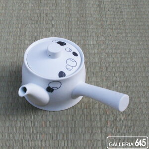 }{ijFARITA PORCELAIN LAB