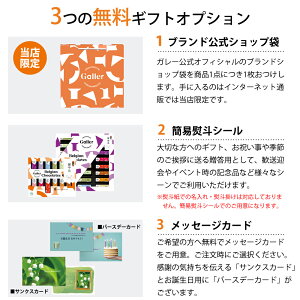 2021ベルギー王室御用達ガレーミニバー5個入高級チョコレート【ホワイトデーチョコ本命ギフトお菓子スイーツプレゼントお祝い結婚内祝い退職祝いホワイトデークーポン】