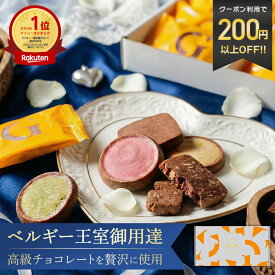ベルギー王室御用達ブランド ガレー チョコレート クッキー 15枚入 5種 詰め合わせ 送料無料 2026 ホワイトデー ギフト お返し お菓子 スイーツ 有名 人気 おしゃれ 高級 個包装 小分け 会社 職場 退職 祝い 挨拶 結婚祝い 内祝い 手土産 常温 日持ち 誕生日 プレゼント