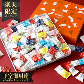楽天限定パッケージ チョコレート ギフト ガレー ナノバー50個入(送料込) 2025 スイーツ お菓子 おかし 高級 チョコ 詰め合わせ 大容量 大量 個包装 小分け 会社 職場 有名 おしゃれ 人気 退職 手土産 出産 内祝い お返し お礼 自分 ご褒美 誕生日 プレゼント
