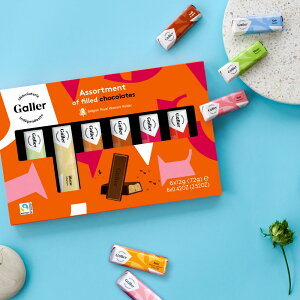 ホワイトデー チョコ ベルギー王室御用達 ガレー ミニバー6個入【 2021 高級 チョコレート 詰め合わせ 本命 義理チョコ プチギフト お礼 会社 職場 お菓子 スイーツ ギフト プレゼント かわいい 個包装 小分け お返し 期間 限定 早割 クーポン】