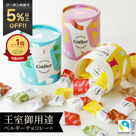 ホワイトデー ギフト ベルギー王室御用達 ガレー チョコレート ナノバー10個入 2026 お返し お菓子 スイーツ チョコ ブロック 会社 職場 個包装 小分け 手土産 お礼 退職 挨拶 引っ越し 高級 おしゃれ かわいい 人気 1000円 以内 以下 誕生日 プレゼント