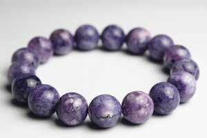 12.5mmeBt@j[Xg[uXbgt@CiO[h++@AJ@^BY