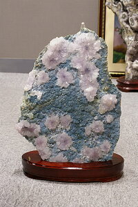 كNXIt@CiO[hTCYIt[AWXg@uWY