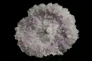 t@CiO[hI傫t[AWXg@uWY