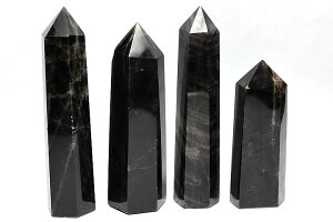 ���V�R�����`�x�b�g�����I��(������)�|���b�V���|�C���g51-100g �l��ȎY