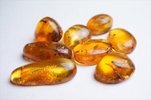 ƊEňlɒ풆I߃[XiRnNj3AO[h h~jJY