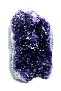 EOACAWXg(h[) NX^[|bVx[XJbg@t@CiO[h++++@2.82kg