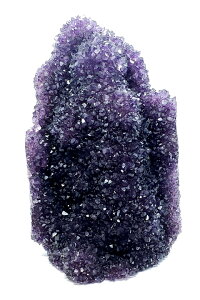 EOACAWXg(h[) NX^[|bVx[XJbg@t@CiO[h++++@1.91kg