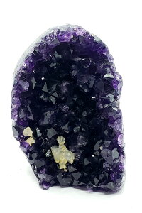 EOACAWXg(h[) NX^[|bVx[XJbg@t@CiO[h++@0.63kg