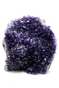 EOACAWXg(h[) NX^[|bVx[XJbg@t@CiO[h++++@1.89kg