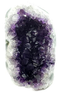 EOACAWXg(h[) NX^[|bVx[XJbg@t@CiO[h@1.21kg