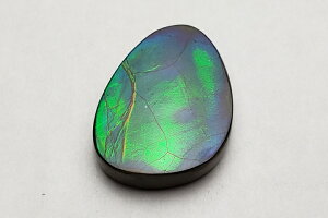 16.031ctTCYACg[X@t@CiO[h++ ӕʏ P[Xt