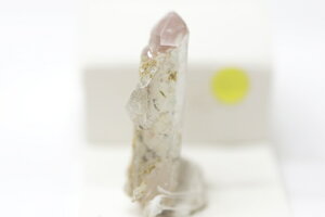 �A�z�[�Γ��萅��2.9×0.9×1.2cm ��A�t���J�E���b�V�[�i�Y