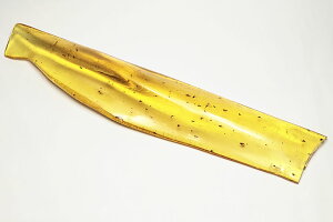 虫入り琥珀(コハク)マダガスカル産