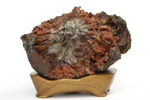 �����J�e�Ԑ΁@�򕌌������J�Y