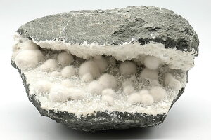 4.69kg IPiCg(I[P)ChY