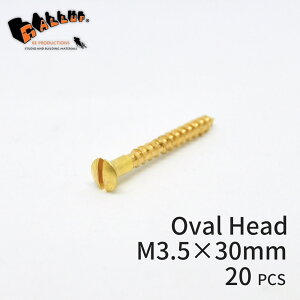 uXXN[ I[owbh M3.5×30mm (ێM) 20{[lR|X]y ^J C ؃lW ؂˂ ێMrX }CiXrX lW ˂ AeB[N NVbN g S[h DIY  