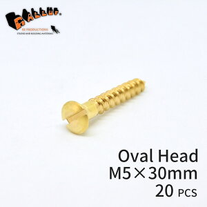 uXXN[ I[owbh M5×30mm (ێM) 20{[lR|X]y ^J C ؃lW ؂˂ ێMrX }CiXrX lW ˂ AeB[N NVbN g S[h DIY  Ƌ 