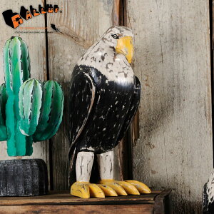 EbhJ[rO C[Oyؒ   Aj} V h AeB[N ؐIuWF l` fBXvC  rO K[fjO CeAG z